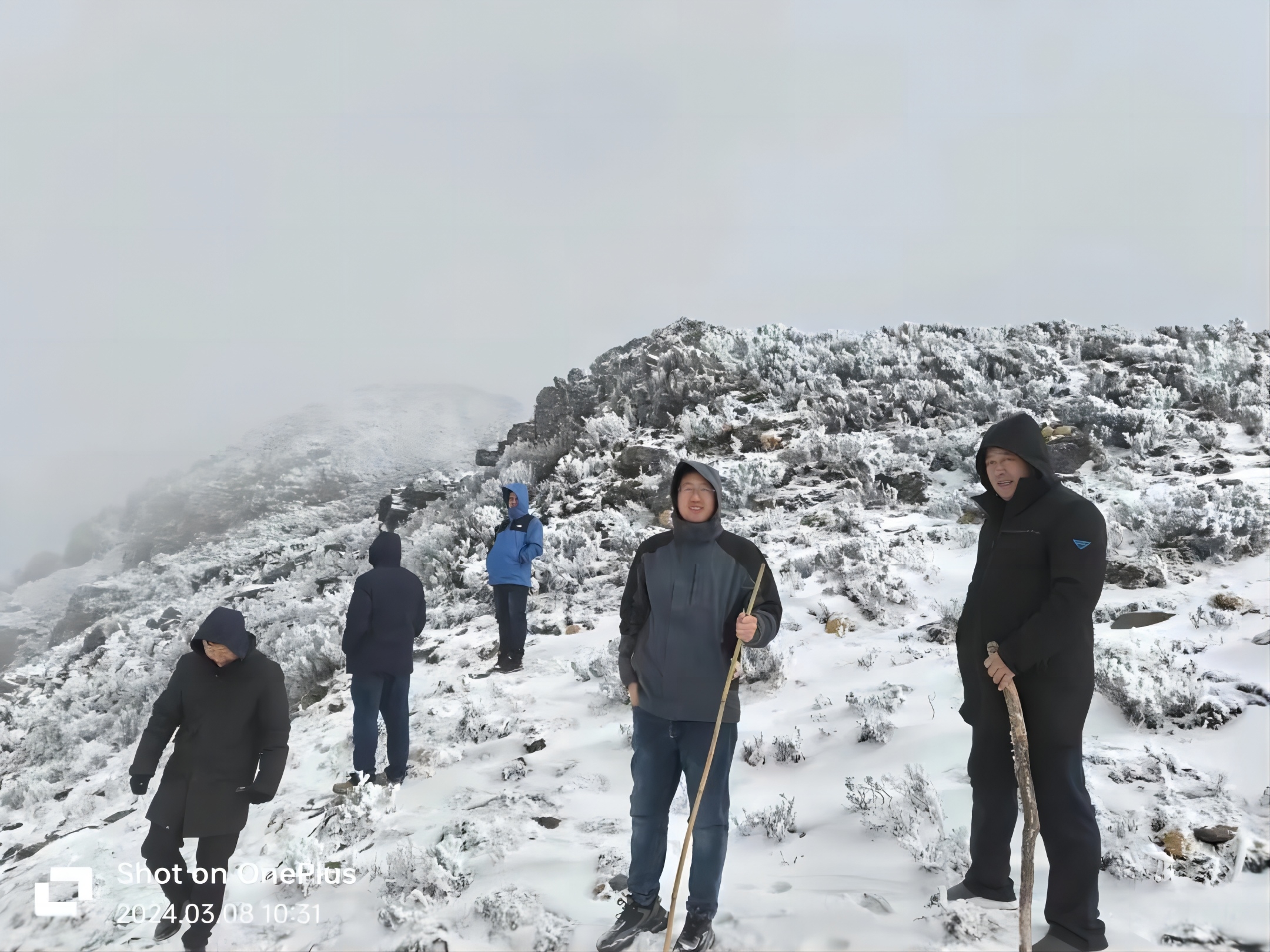 傲雪凌霜，，，，，，，，只为有“锂”